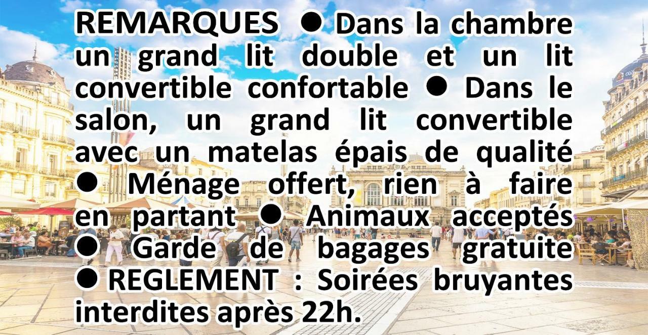 Comédie Musée-Fabre PARKING OFFERT Climatisation Appartamento Montpellier Esterno foto